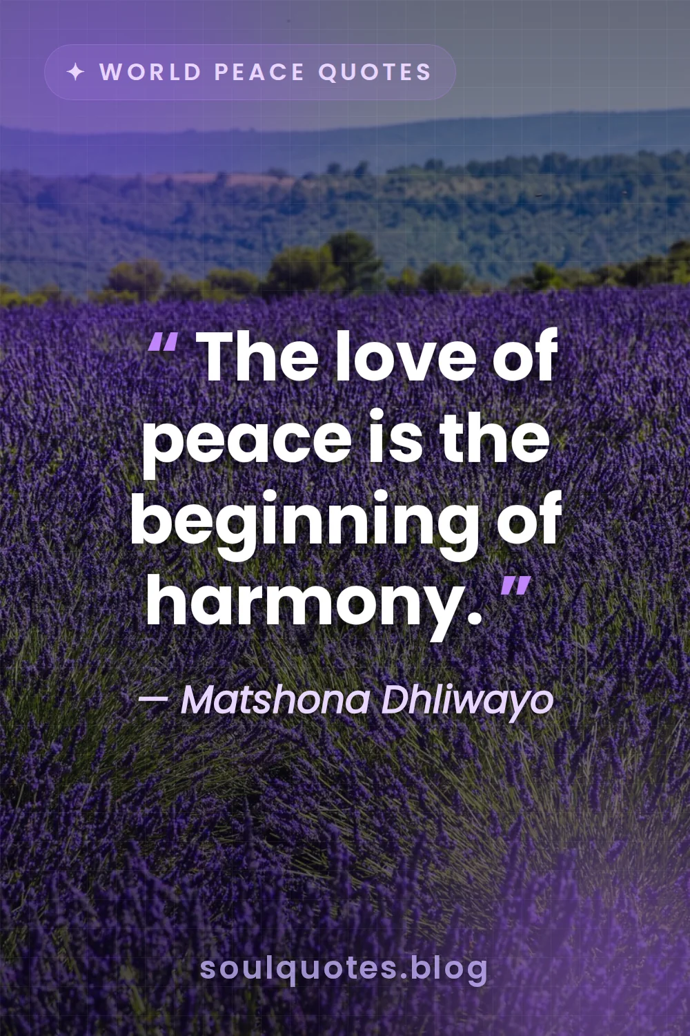 vast field of blooming lavender under a soft purple sky